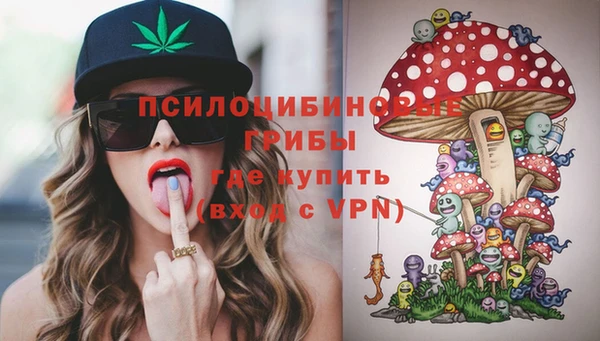 дживик Баксан