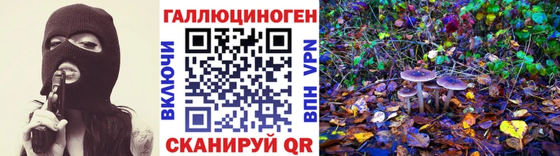 цены   blacksprut ССЫЛКА  Псилоцибиновые грибы Psilocybine cubensis  Голицыно 